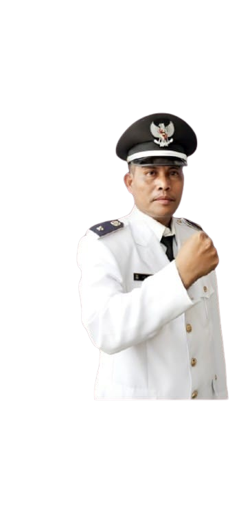 Rapiudin